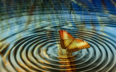 Growing our Quantum Butterfly Wings: Moving forward into change